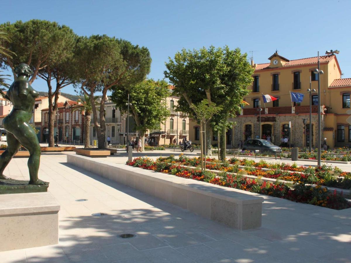 Appartement Renove Avec Clim, Parking Et Terrasse A 500M Du Port - Fr-1-225C-113 Banyuls-sur-Mer Exterior foto